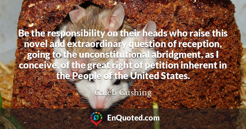 Be the responsibility on their heads who raise this novel and extraordinary question of reception, going to the unconstitutional abridgment, as I conceive, of the great right of petition inherent in the People of the United States.
