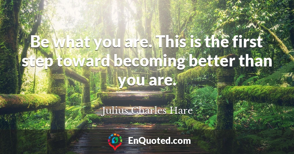 Be what you are. This is the first step toward becoming better than you are.