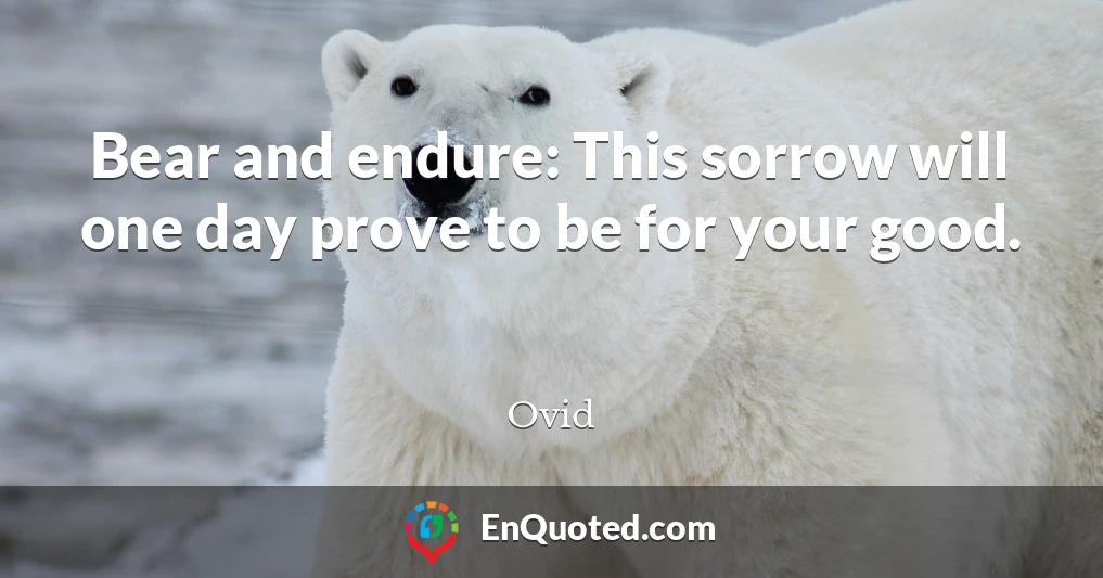 Bear and endure: This sorrow will one day prove to be for your good.