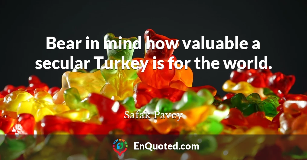 Bear in mind how valuable a secular Turkey is for the world.