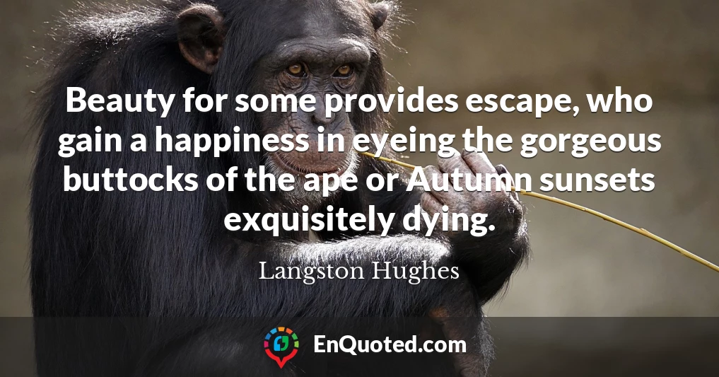 Beauty for some provides escape, who gain a happiness in eyeing the gorgeous buttocks of the ape or Autumn sunsets exquisitely dying.