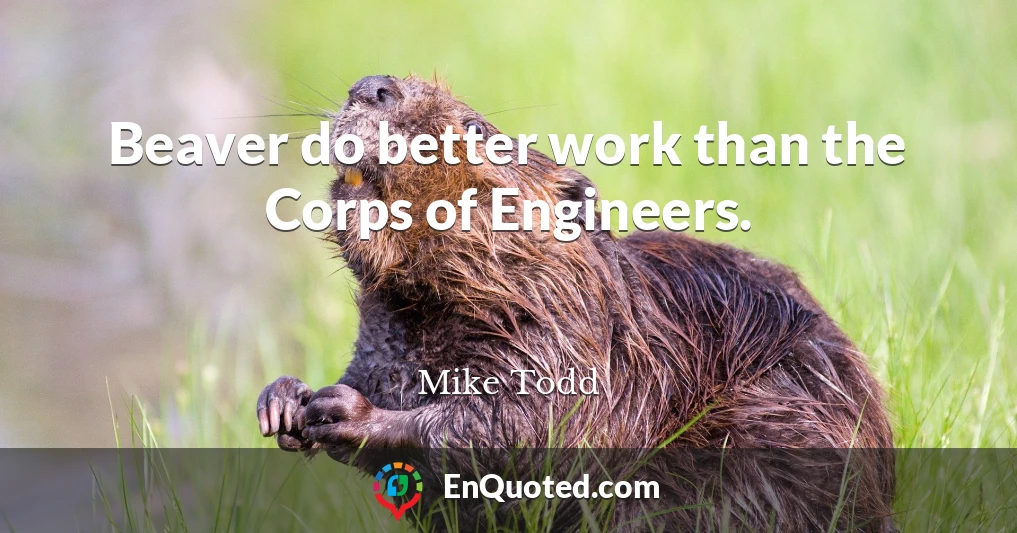 Beaver do better work than the Corps of Engineers.