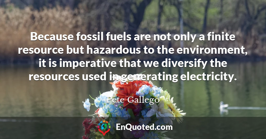 Because fossil fuels are not only a finite resource but hazardous to the environment, it is imperative that we diversify the resources used in generating electricity.