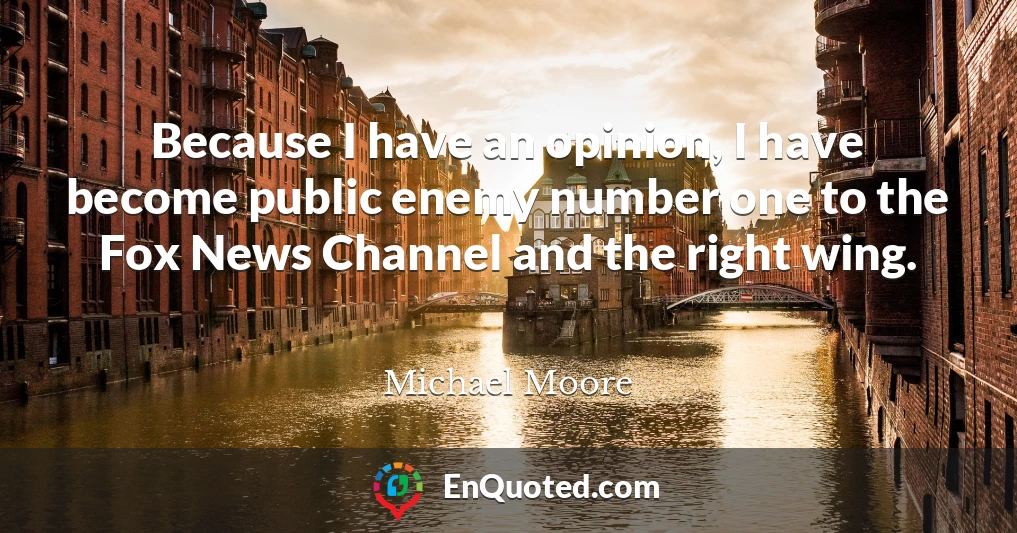 Because I have an opinion, I have become public enemy number one to the Fox News Channel and the right wing.