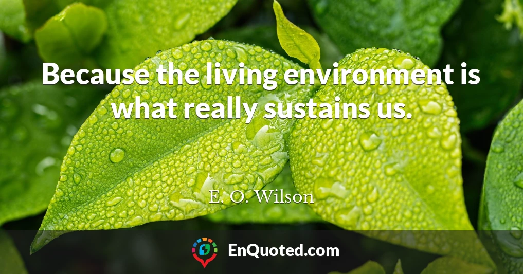 Because the living environment is what really sustains us.