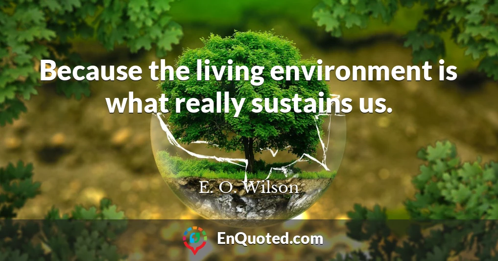 Because the living environment is what really sustains us.