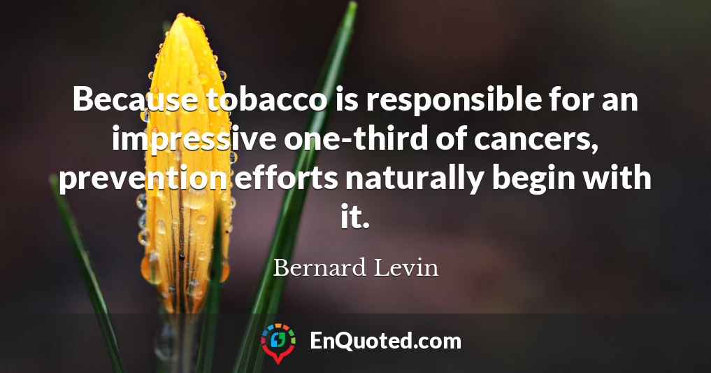 Because tobacco is responsible for an impressive one-third of cancers, prevention efforts naturally begin with it.