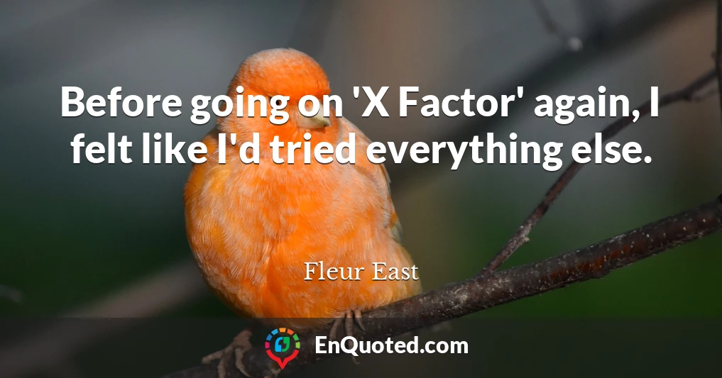 Before going on 'X Factor' again, I felt like I'd tried everything else.
