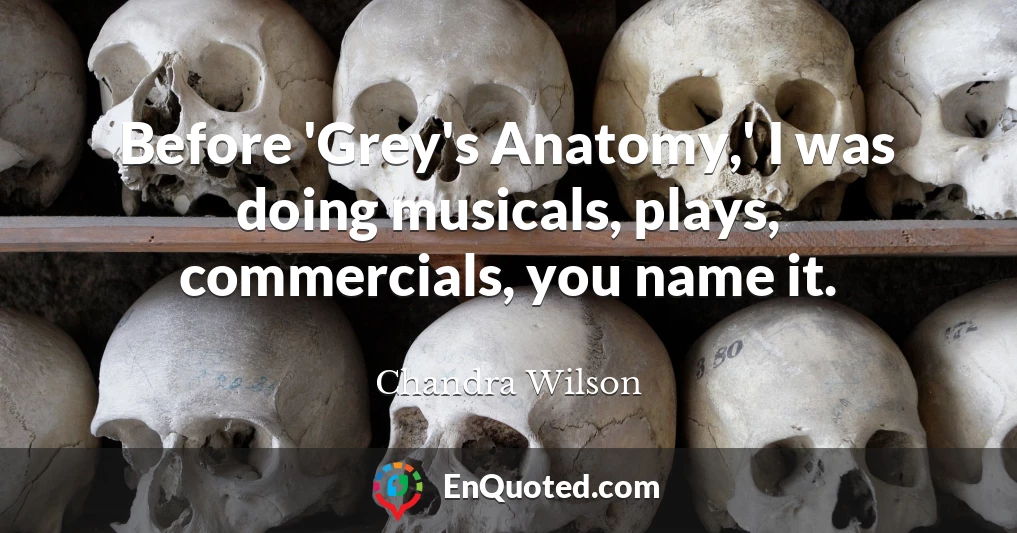 Before 'Grey's Anatomy,' I was doing musicals, plays, commercials, you name it.