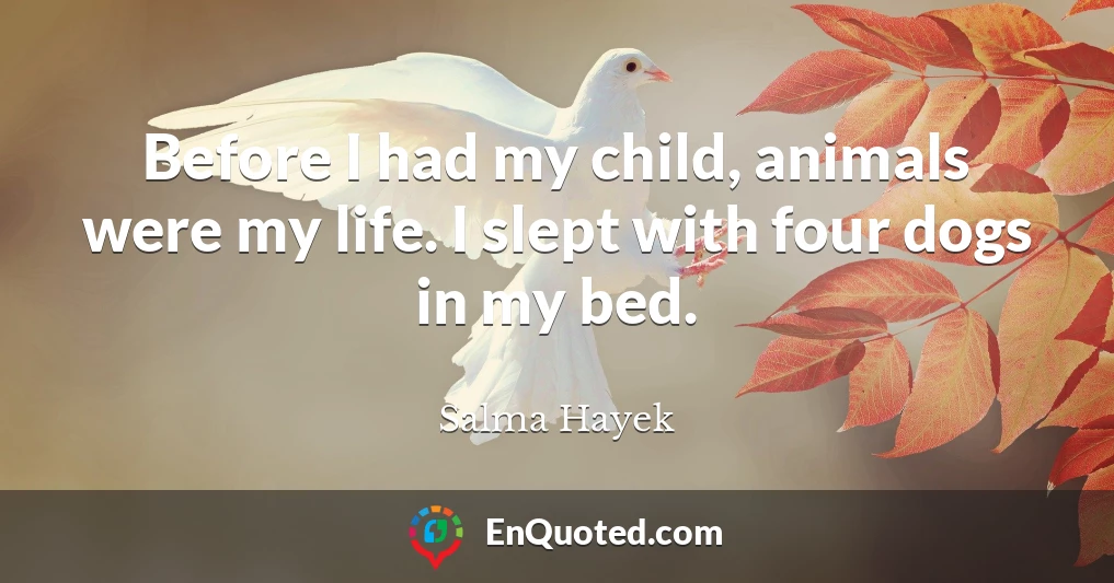 Before I had my child, animals were my life. I slept with four dogs in my bed.