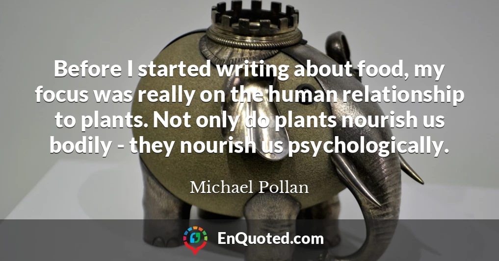 Before I started writing about food, my focus was really on the human relationship to plants. Not only do plants nourish us bodily - they nourish us psychologically.