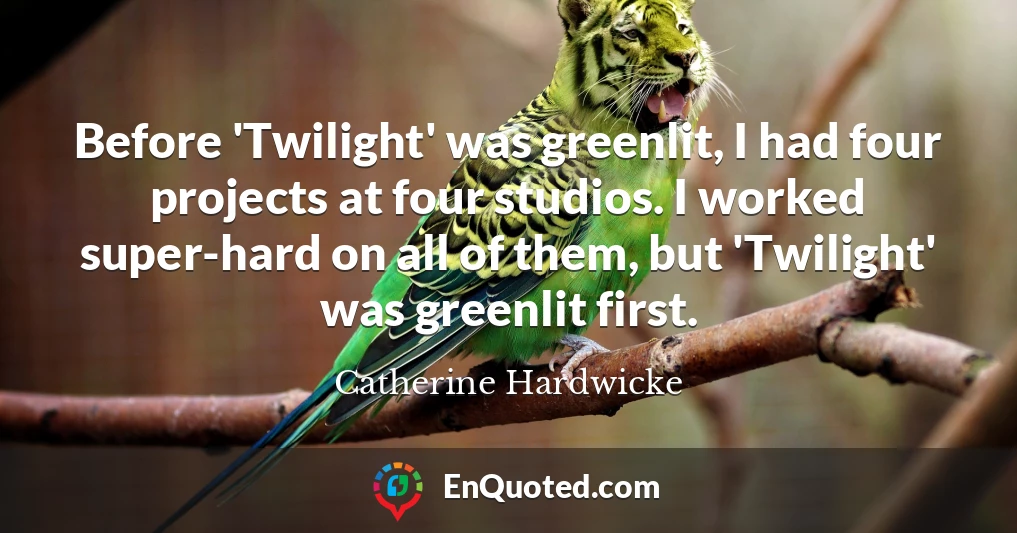 Before 'Twilight' was greenlit, I had four projects at four studios. I worked super-hard on all of them, but 'Twilight' was greenlit first.