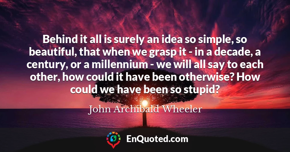 Behind it all is surely an idea so simple, so beautiful, that when we grasp it - in a decade, a century, or a millennium - we will all say to each other, how could it have been otherwise? How could we have been so stupid?