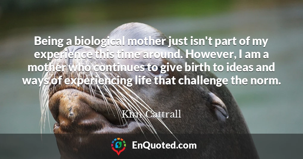 Being a biological mother just isn't part of my experience this time around. However, I am a mother who continues to give birth to ideas and ways of experiencing life that challenge the norm.