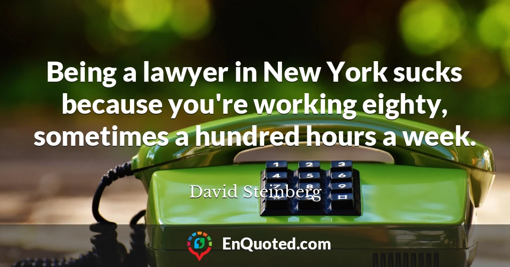 Being a lawyer in New York sucks because you're working eighty, sometimes a hundred hours a week.