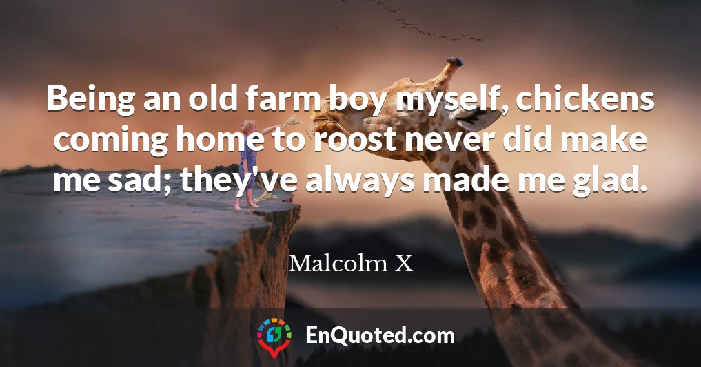 Being an old farm boy myself, chickens coming home to roost never did make me sad; they've always made me glad.
