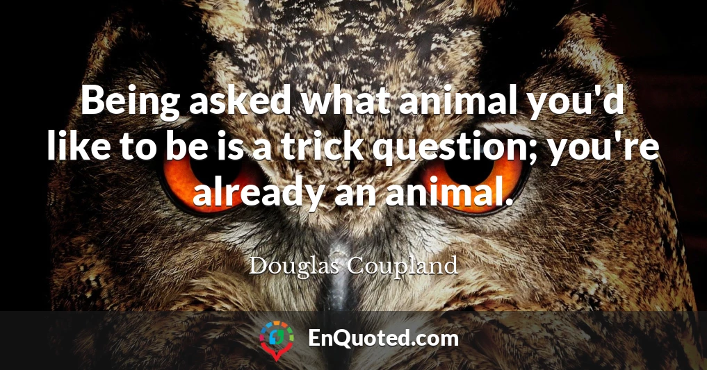 Being asked what animal you'd like to be is a trick question; you're already an animal.