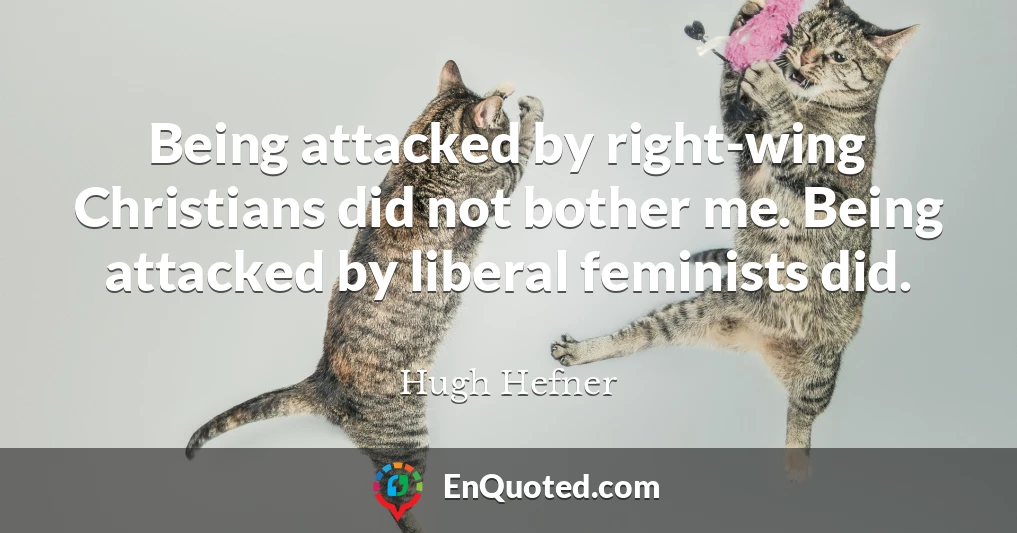 Being attacked by right-wing Christians did not bother me. Being attacked by liberal feminists did.