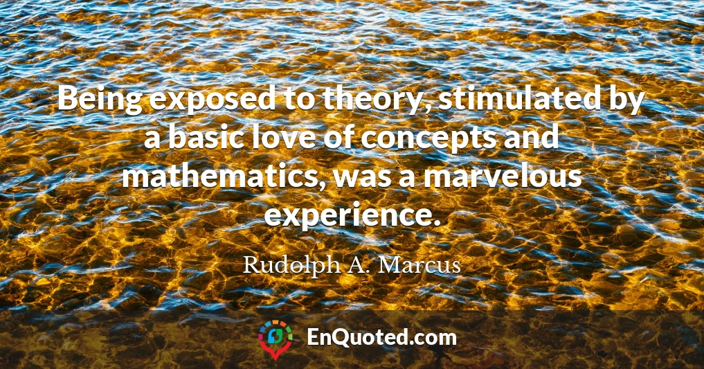 Being exposed to theory, stimulated by a basic love of concepts and mathematics, was a marvelous experience.