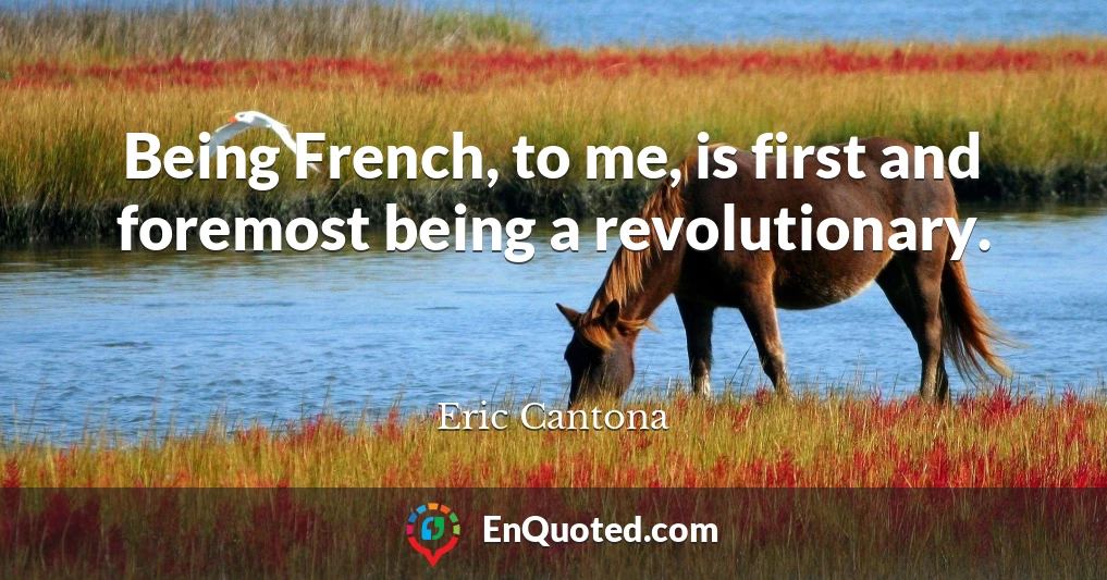 Being French, to me, is first and foremost being a revolutionary.