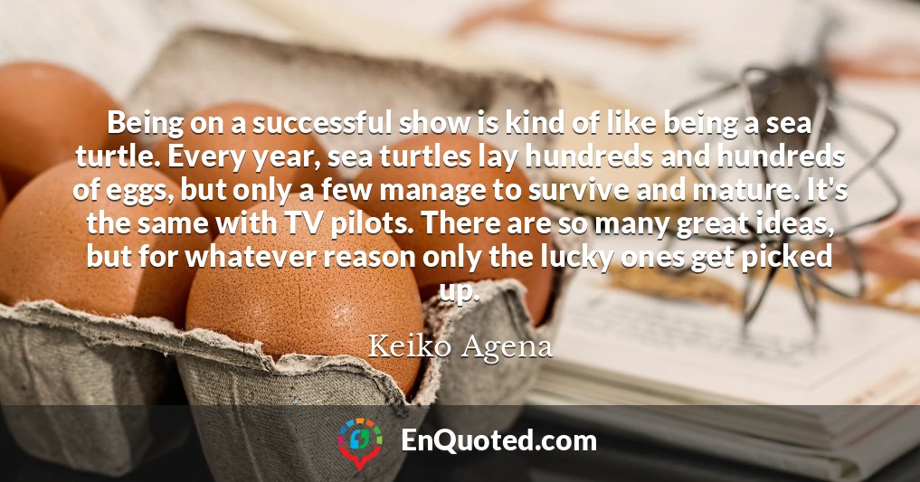 Being on a successful show is kind of like being a sea turtle. Every year, sea turtles lay hundreds and hundreds of eggs, but only a few manage to survive and mature. It's the same with TV pilots. There are so many great ideas, but for whatever reason only the lucky ones get picked up.