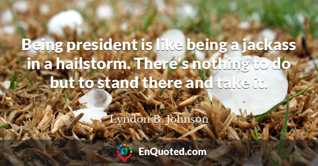 Being president is like being a jackass in a hailstorm. There's nothing to do but to stand there and take it.