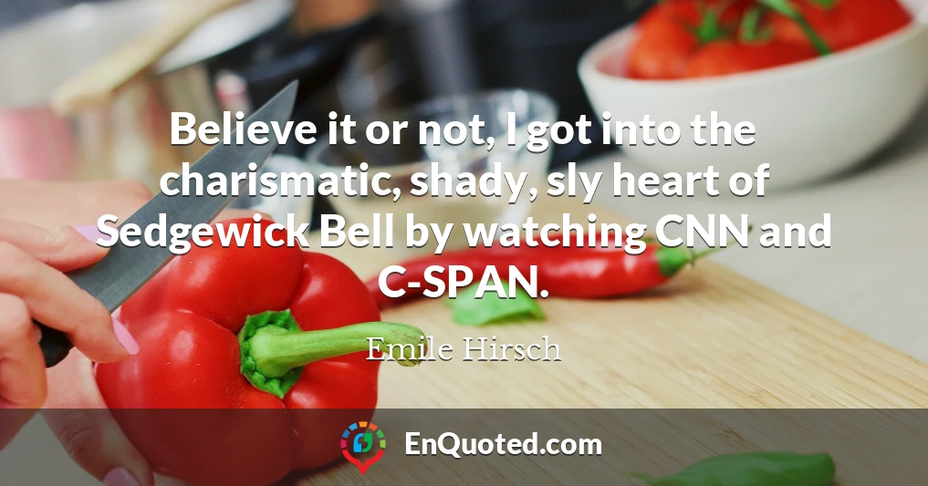 Believe it or not, I got into the charismatic, shady, sly heart of Sedgewick Bell by watching CNN and C-SPAN.