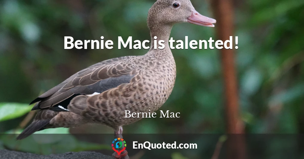 Bernie Mac is talented!