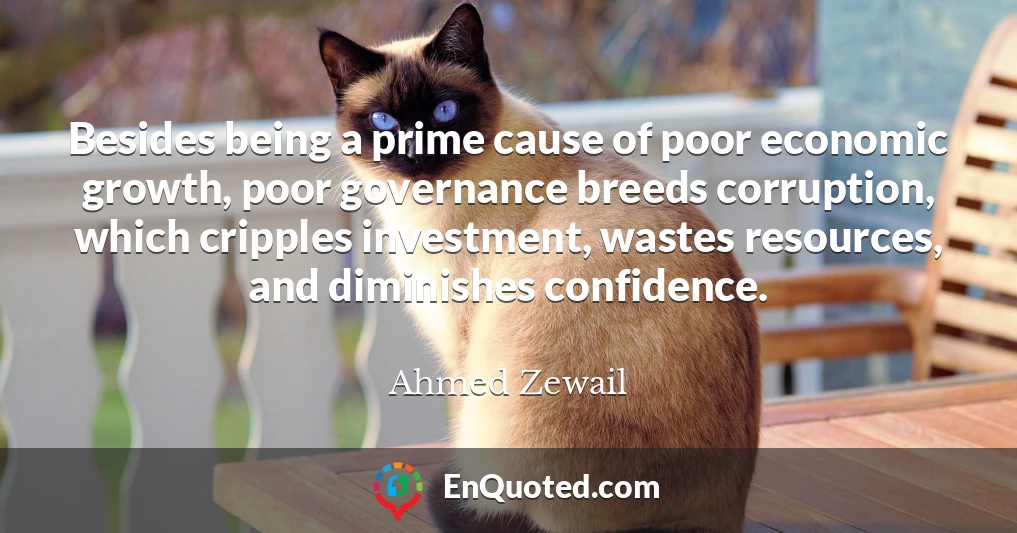 Besides being a prime cause of poor economic growth, poor governance breeds corruption, which cripples investment, wastes resources, and diminishes confidence.
