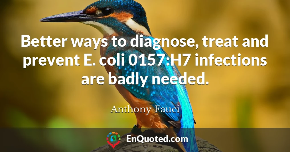 Better ways to diagnose, treat and prevent E. coli 0157:H7 infections are badly needed.