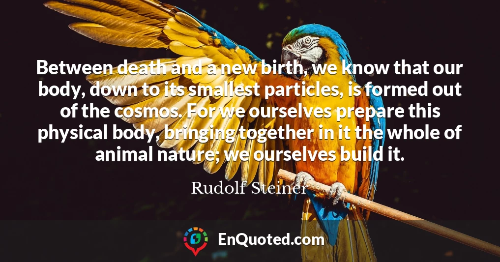 Between death and a new birth, we know that our body, down to its smallest particles, is formed out of the cosmos. For we ourselves prepare this physical body, bringing together in it the whole of animal nature; we ourselves build it.