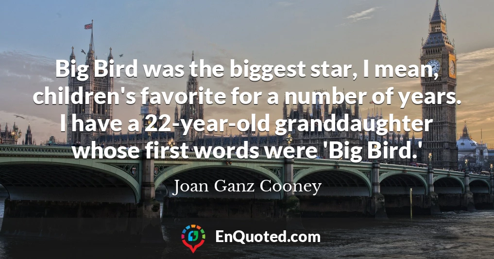 Big Bird was the biggest star, I mean, children's favorite for a number of years. I have a 22-year-old granddaughter whose first words were 'Big Bird.'