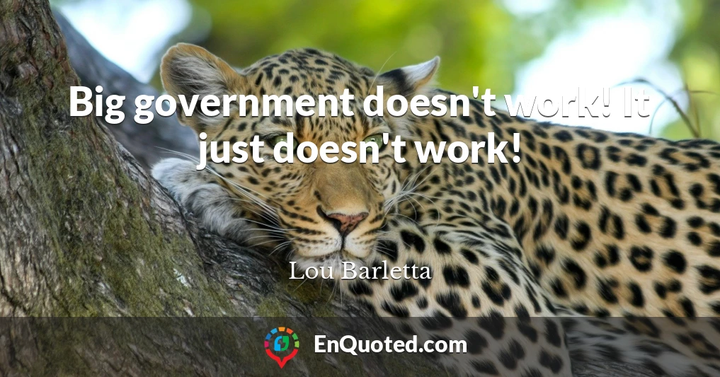 Big government doesn't work! It just doesn't work!