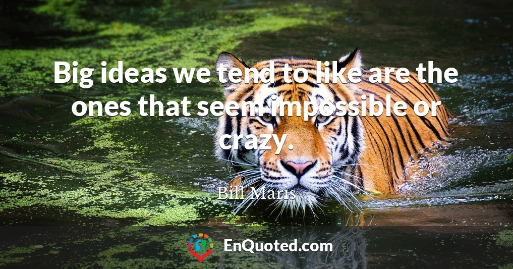 Big ideas we tend to like are the ones that seem impossible or crazy.