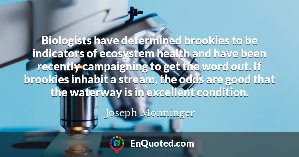 Biologists have determined brookies to be indicators of ecosystem health and have been recently campaigning to get the word out. If brookies inhabit a stream, the odds are good that the waterway is in excellent condition.