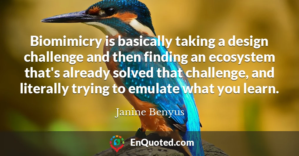 Biomimicry is basically taking a design challenge and then finding an ecosystem that's already solved that challenge, and literally trying to emulate what you learn.