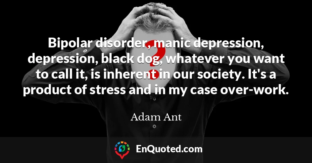 Bipolar disorder, manic depression, depression, black dog, whatever you want to call it, is inherent in our society. It's a product of stress and in my case over-work.