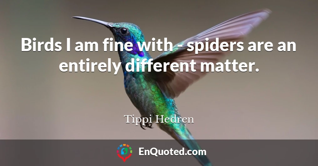 Birds I am fine with - spiders are an entirely different matter.