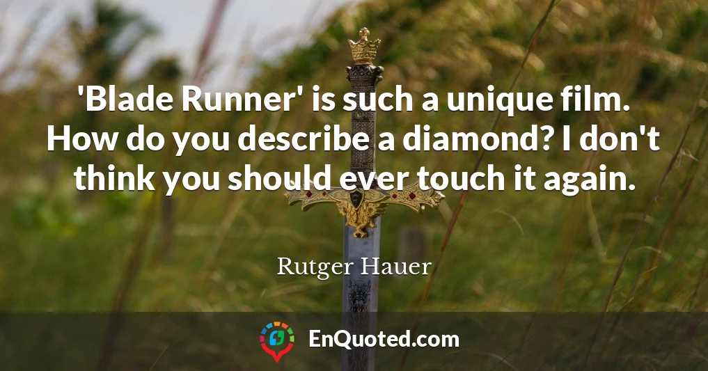 'Blade Runner' is such a unique film. How do you describe a diamond? I don't think you should ever touch it again.