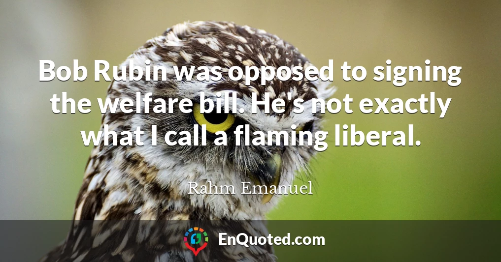 Bob Rubin was opposed to signing the welfare bill. He's not exactly what I call a flaming liberal.