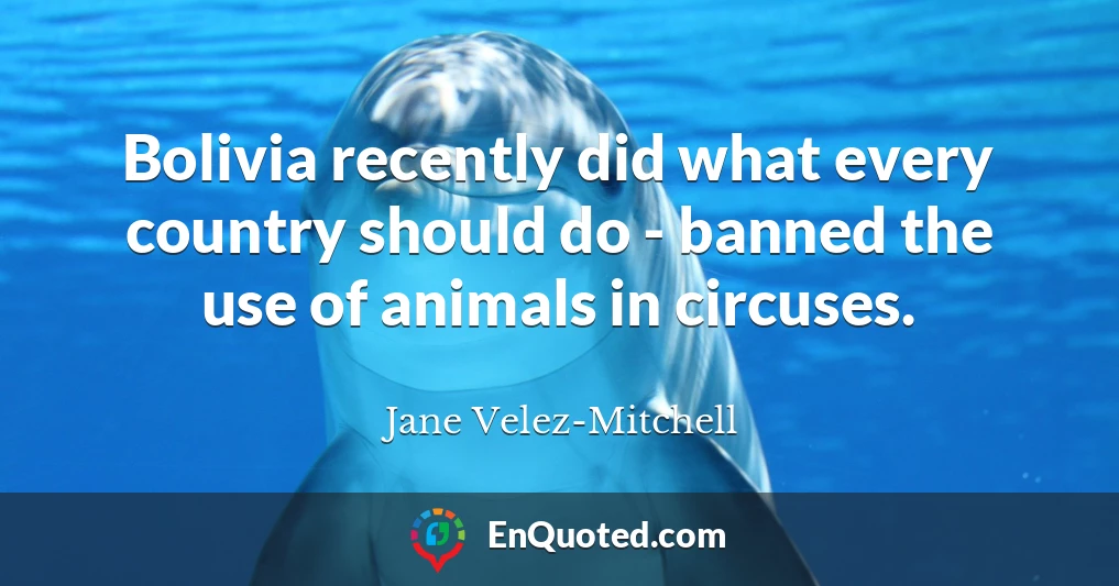 Bolivia recently did what every country should do - banned the use of animals in circuses.