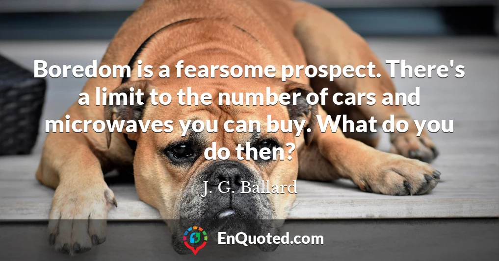 Boredom is a fearsome prospect. There's a limit to the number of cars and microwaves you can buy. What do you do then?