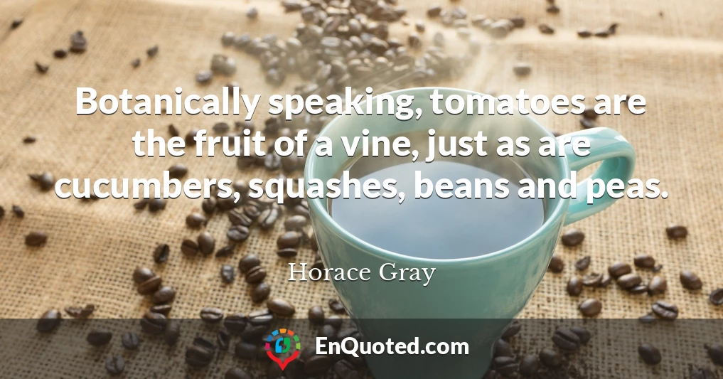 Botanically speaking, tomatoes are the fruit of a vine, just as are cucumbers, squashes, beans and peas.
