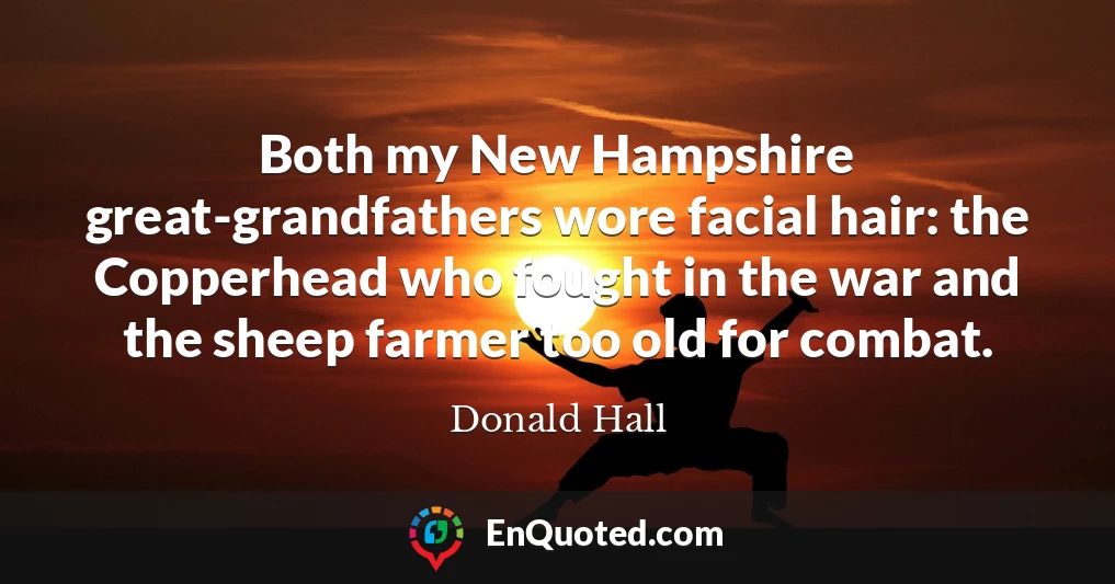 Both my New Hampshire great-grandfathers wore facial hair: the Copperhead who fought in the war and the sheep farmer too old for combat.