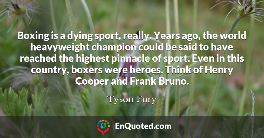 Boxing is a dying sport, really. Years ago, the world heavyweight champion could be said to have reached the highest pinnacle of sport. Even in this country, boxers were heroes. Think of Henry Cooper and Frank Bruno.