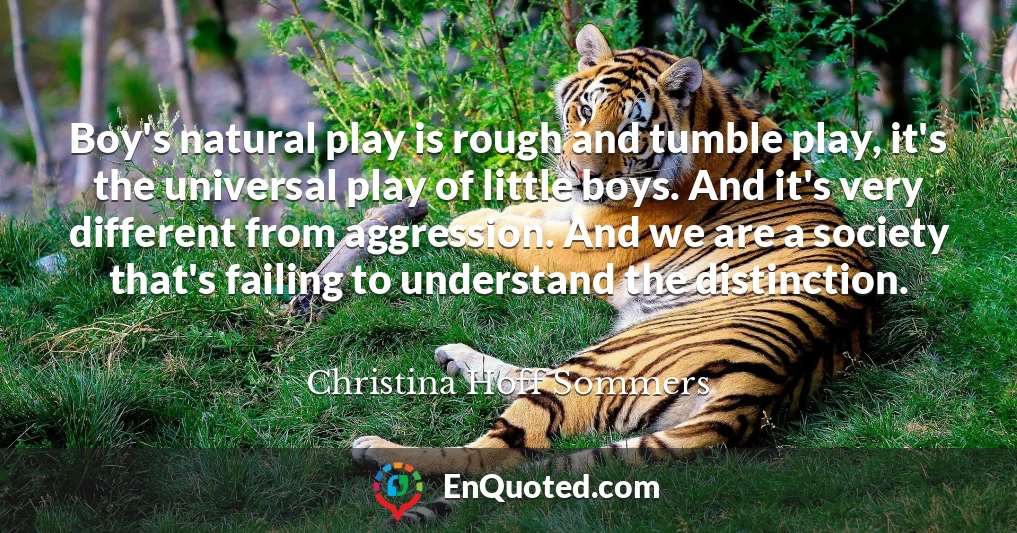 Boy's natural play is rough and tumble play, it's the universal play of little boys. And it's very different from aggression. And we are a society that's failing to understand the distinction.