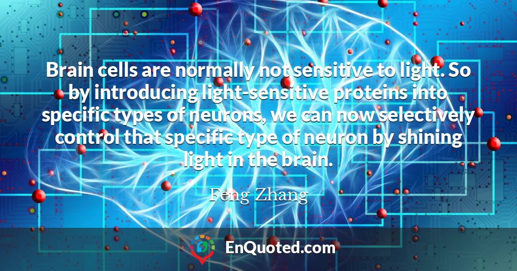 Brain cells are normally not sensitive to light. So by introducing light-sensitive proteins into specific types of neurons, we can now selectively control that specific type of neuron by shining light in the brain.