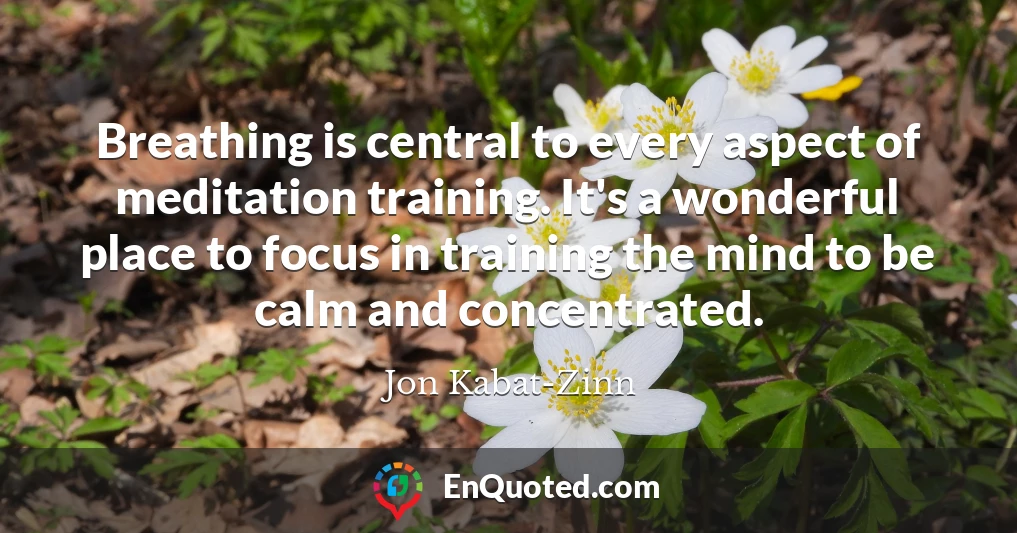 Breathing is central to every aspect of meditation training. It's a wonderful place to focus in training the mind to be calm and concentrated.