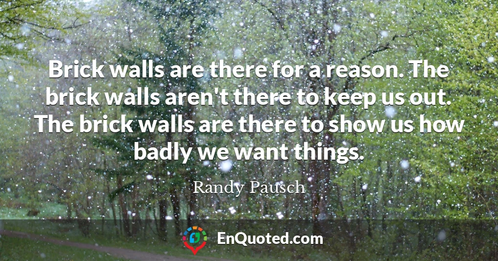 Brick walls are there for a reason. The brick walls aren't there to keep us out. The brick walls are there to show us how badly we want things.