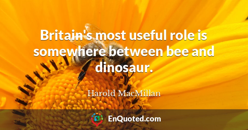 Britain's most useful role is somewhere between bee and dinosaur.
